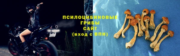 не бодяженный Няндома