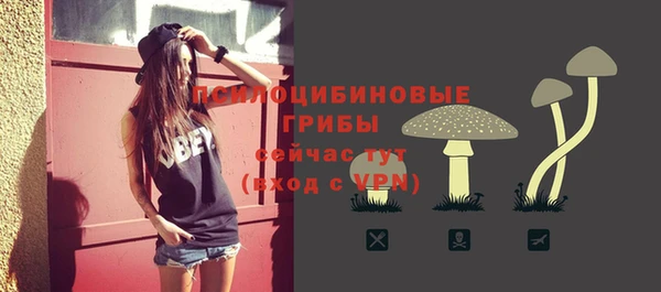 прущий лед Абдулино