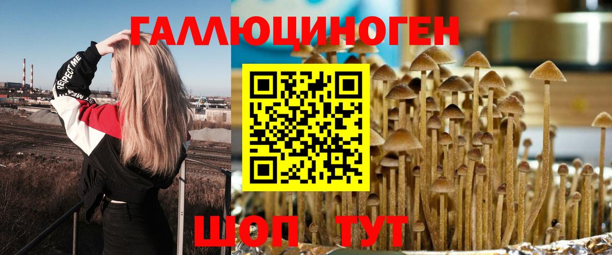 Псилоцибиновые грибы GOLDEN TEACHER  цена наркотик  Донской  Вход с VPN 